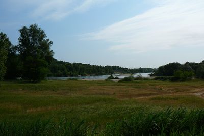 Allier