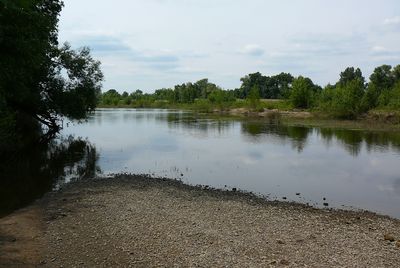 Bras de Loire