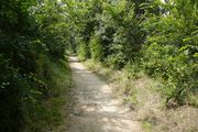 Voie verte