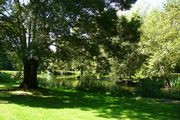 paysage