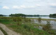 Confluent (Maine et Loire)