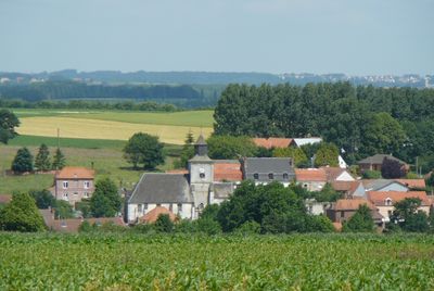 haut Artois