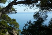 jardin Rayol