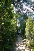 jardin Rayol