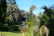 jardin Rayol