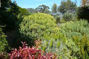 jardin Rayol